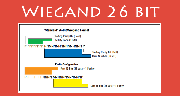 Wiegand เป็นเทคโนโลยี ที่คิดค้นขึ้นโดยบริษัท HID เพื่อใช้เป็นมาตรฐานในการทำงานของอุปกรณ์ ควบคุมทางเข้าออกต่างๆ หรือ Access Control โดยใช้เป็น Wiegand 26 bit